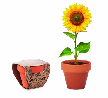 Logotrade Geschäftsgeschenke das Foto: Terracotta-Topf Sonnenblume