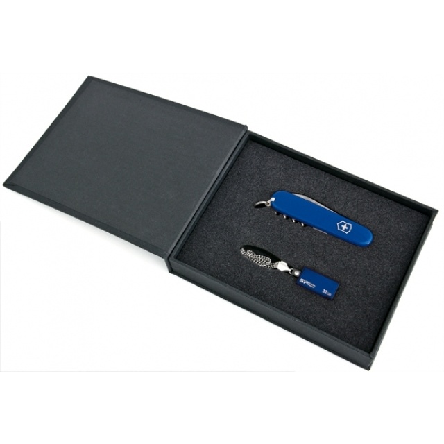 Logotrade promotional product picture of: Elegant giftset in blue colour  8GB	color blue