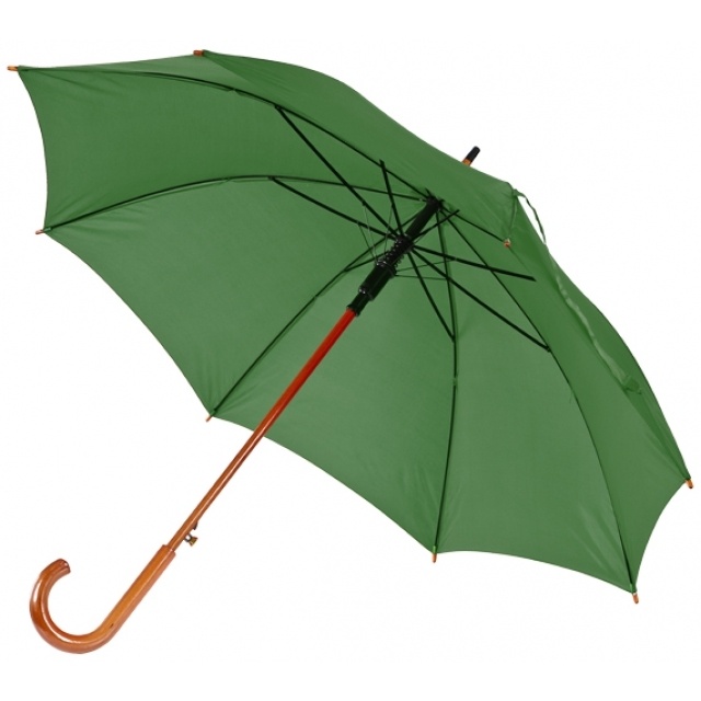 Logotrade promotional product image of: Wooden automatic umbrella NANCY  color dark green