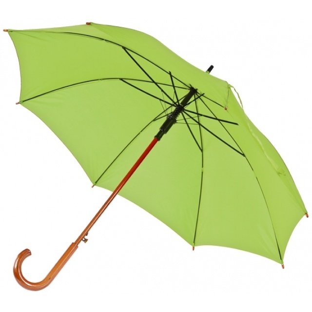 Logotrade promotional merchandise picture of: Wooden automatic umbrella NANCY  color light green