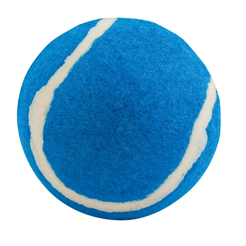 Logotrade corporate gift image of: ball for dogs AP731417-06 blue