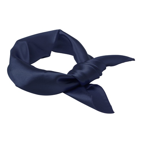 Logotrade promotional giveaway picture of: Ladies scarf Cool, navy