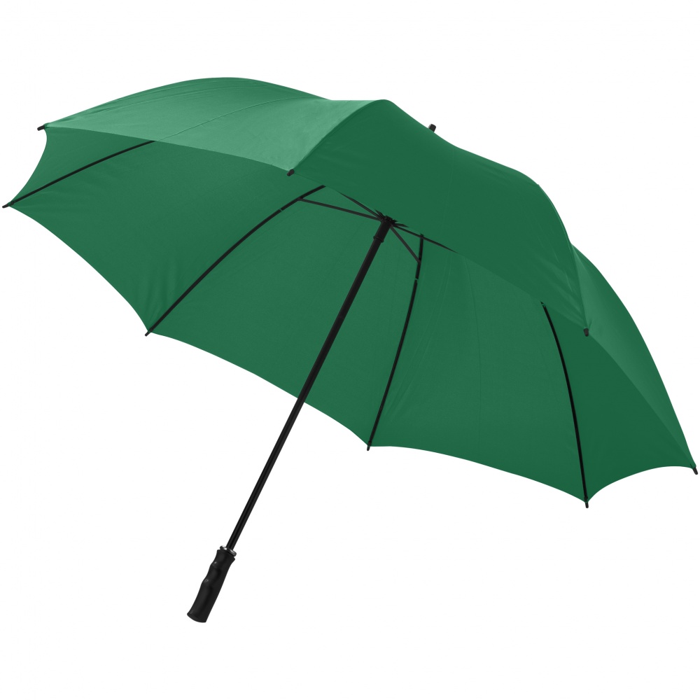 Logotrade promotional merchandise picture of: 30" Zeke golf umbrella, green