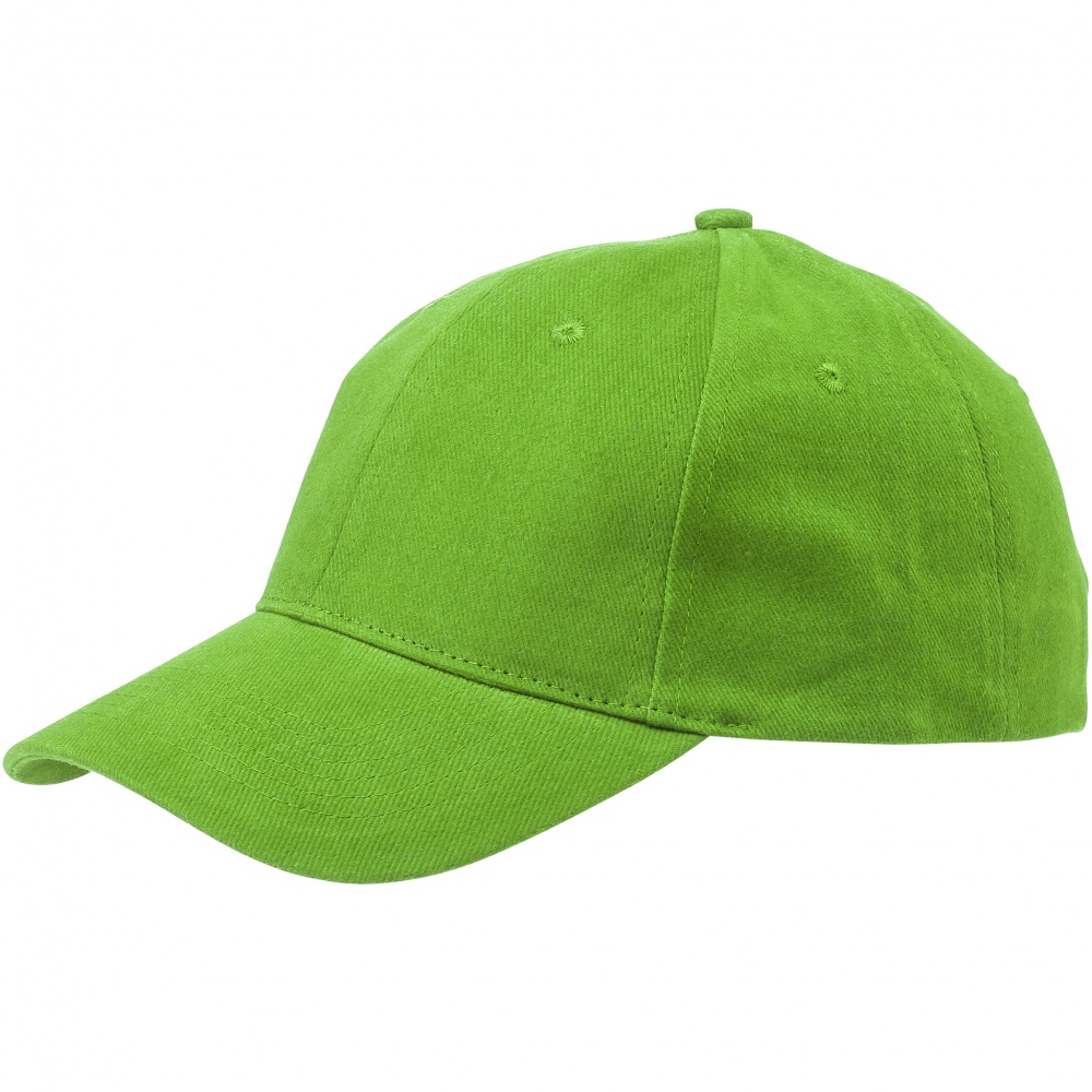 Logotrade promotional item image of: Bryson 6 panel cap, light green