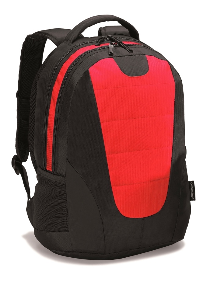 Logo trade promotional products picture of: COLORISSIMO LAPTOP  BACKPACK 14’, red