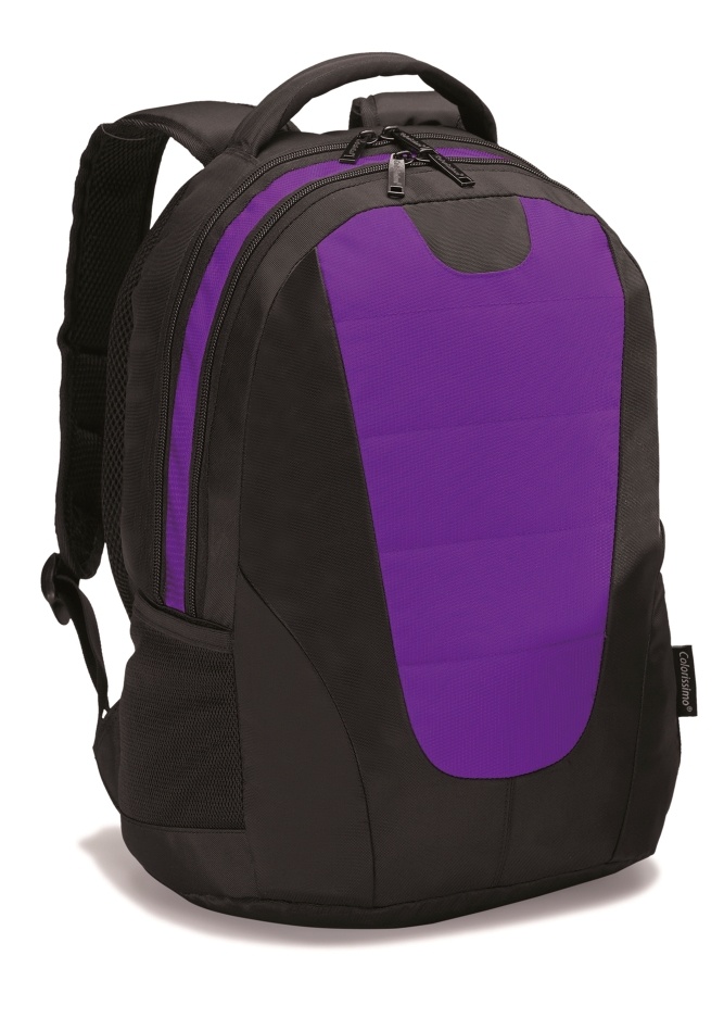 Logotrade corporate gift image of: COLORISSIMO LAPTOP  BACKPACK 14’, purple