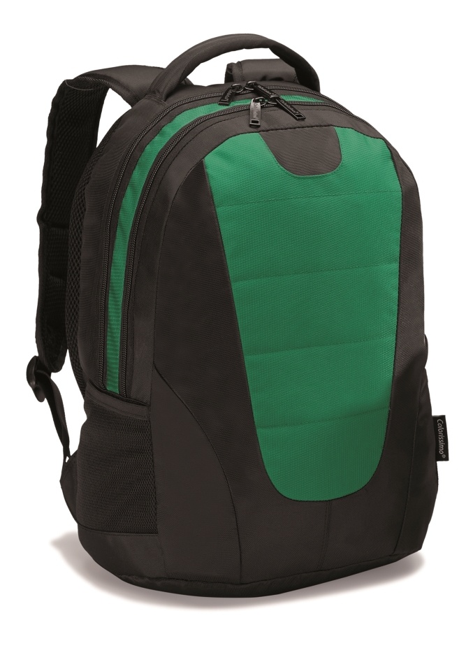 Logo trade promotional giveaway photo of: COLORISSIMO LAPTOP  BACKPACK 14’, green