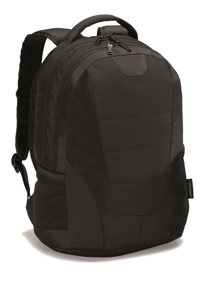 Logotrade promotional giveaway image of: COLORISSIMO LAPTOP  BACKPACK 14’, black