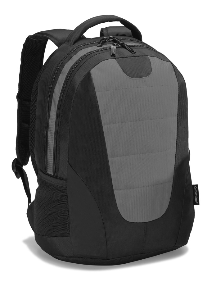 Logotrade promotional giveaways photo of: COLORISSIMO LAPTOP  BACKPACK 14’, grey