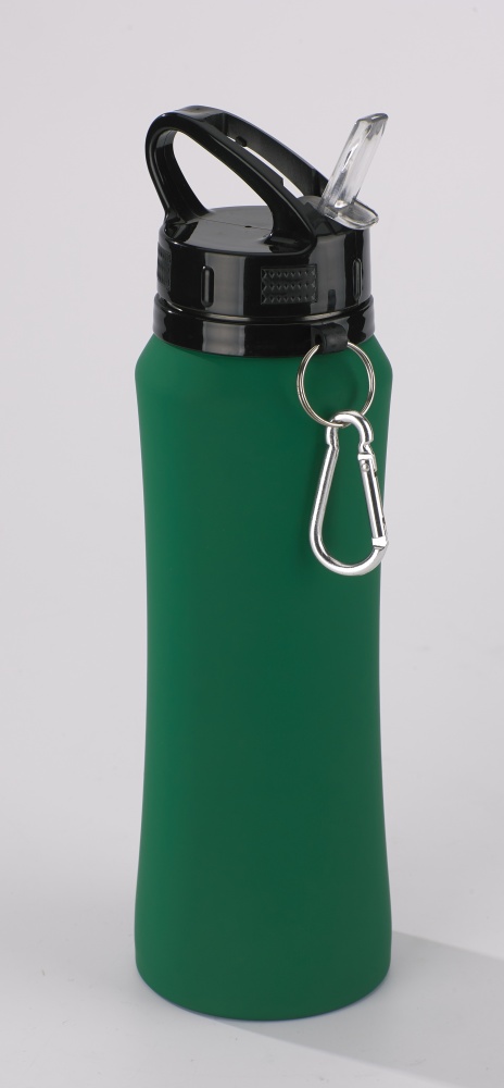 Logo trade promotional products picture of: Water bottle Colorissimo, 700 ml, green