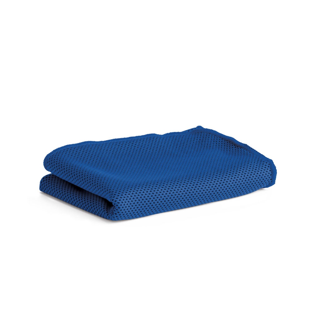 Logotrade promotional product picture of: ARTX. Gym towel, Blue