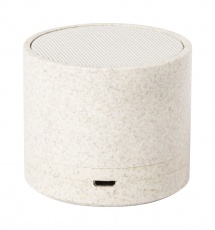 Cayren bluetooth speaker