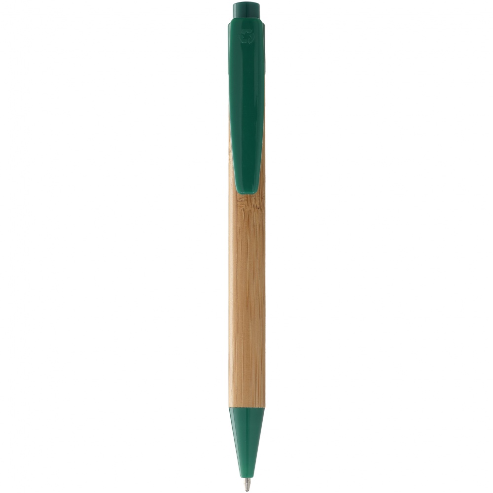 Logo trade corporate gifts image of: Borneo ballpoint pen, green