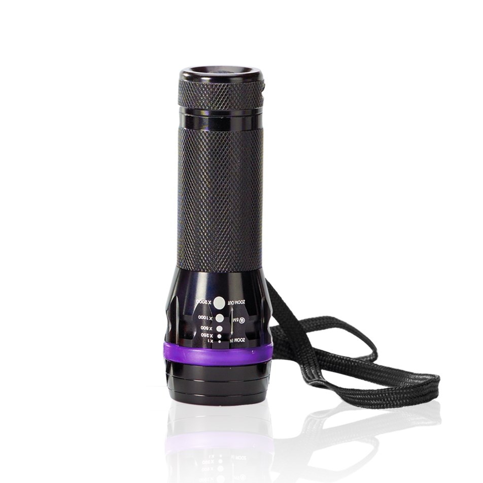 Logotrade corporate gift picture of: LED TORCH COLORADO