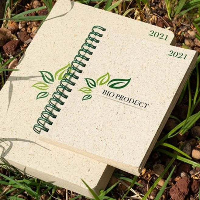 Logotrade promotional merchandise picture of: Erba notebook made of grass, beige