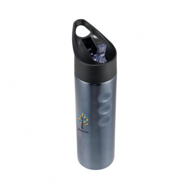 Logotrade promotional item image of: Trixie stainless sports bottle, titanium