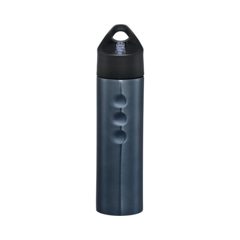 Logotrade advertising product image of: Trixie stainless sports bottle, titanium