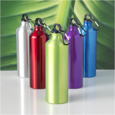 Logotrade promotional items photo of: Oregon 770 ml aluminium water bottle with carabiner