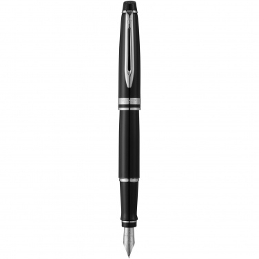 Logotrade promotional merchandise image of: Waterman Expert fountain pen