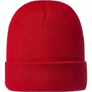 Logotrade promotional product picture of: Irwin beanie