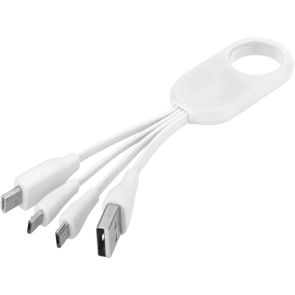 Logotrade corporate gift picture of: Troup 4-in-1 charging cable with type-C tip