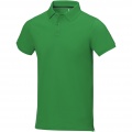 Calgary short sleeve men's polo, Fern green