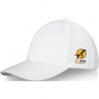 Logotrade promotional merchandise picture of: Drake 6 panel trucker cap