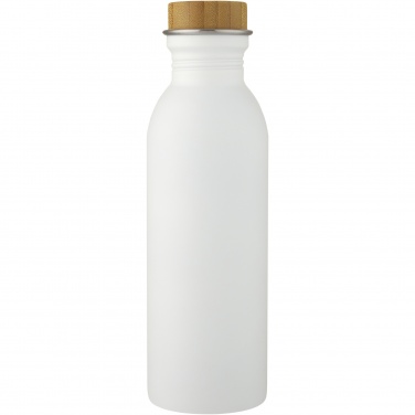 Logotrade corporate gift image of: Kalix 650 ml stainless steel water bottle