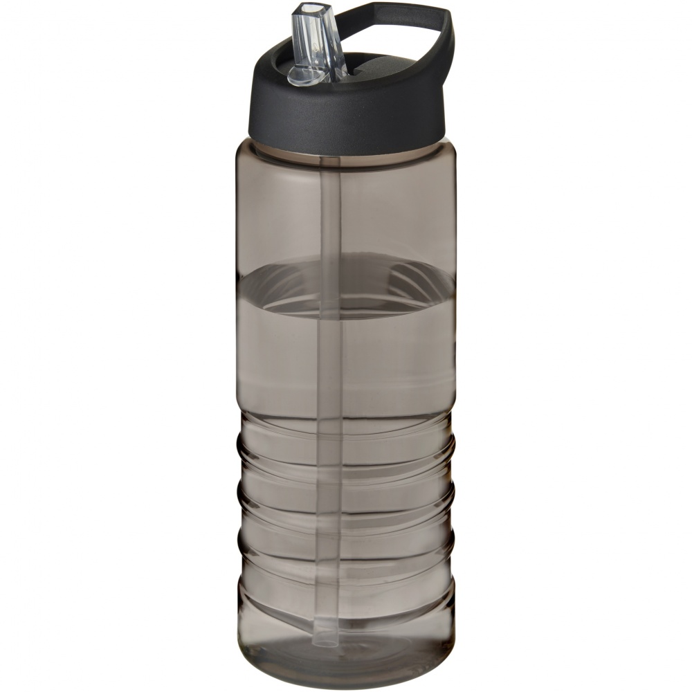 Logotrade promotional merchandise photo of: H2O Active® Eco Treble 750 ml spout lid sport bottle 