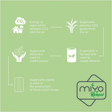 Logo trade promotional gifts image of: MIYO Renew single layer lunch box