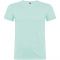 Beagle short sleeve men's t-shirt, Mint