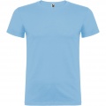 Beagle short sleeve kids t-shirt, Sky blue