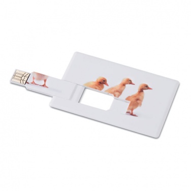 Logo trade promotional merchandise picture of: Creditcard. USB flash 4GB