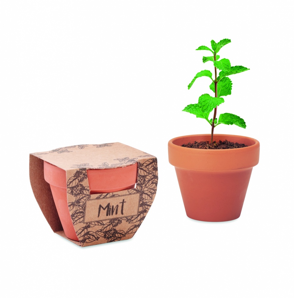 Logotrade advertising products photo of: Terracotta pot mint seeds