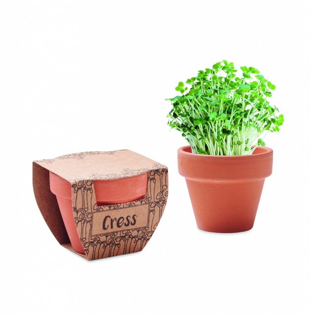 Logo trade promotional merchandise picture of: Terracotta pot cress seeds