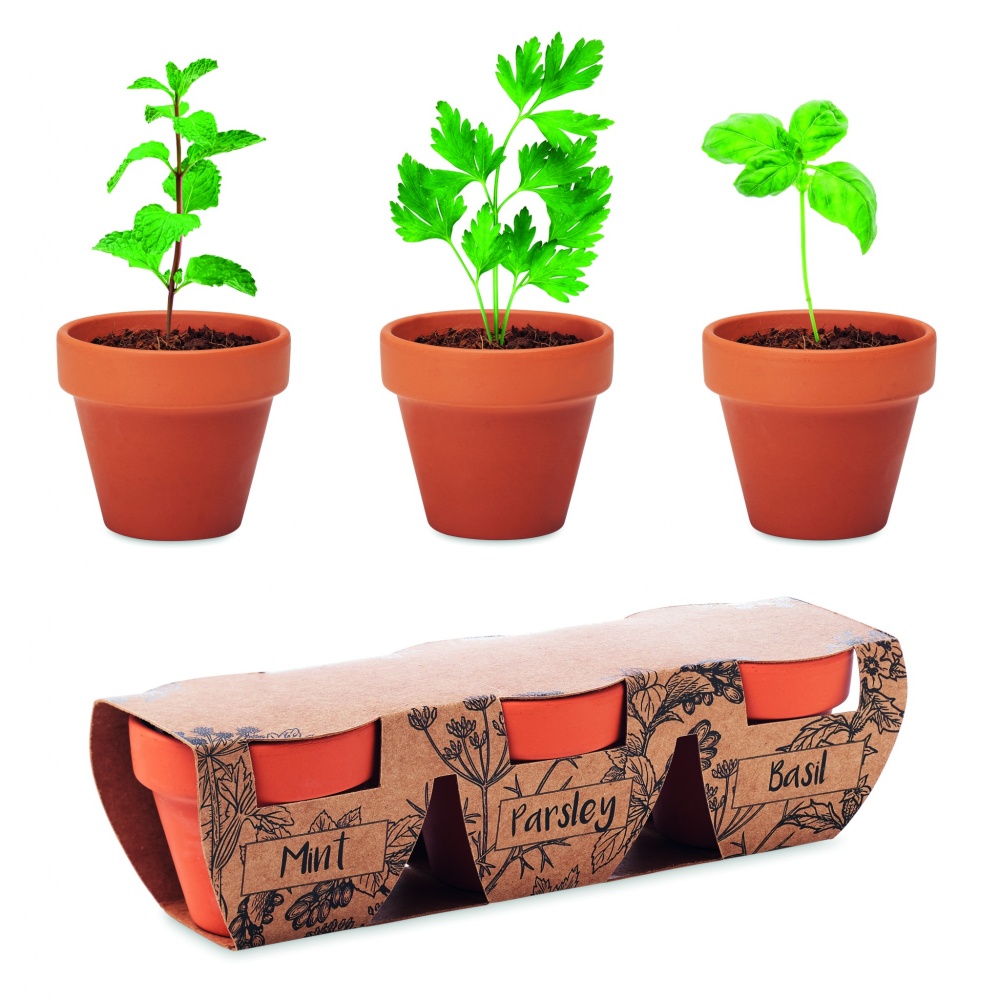 Logotrade promotional items photo of: Terracotta 3 herb pot set