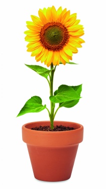 Logo trade corporate gifts picture of: Terracotta pot 'sunflower'