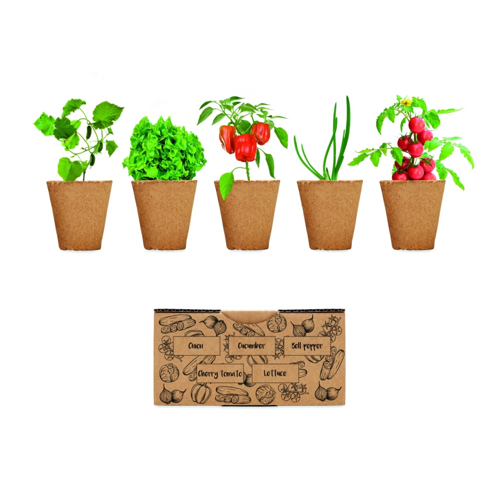 Logo trade promotional merchandise photo of: Salad growing kit