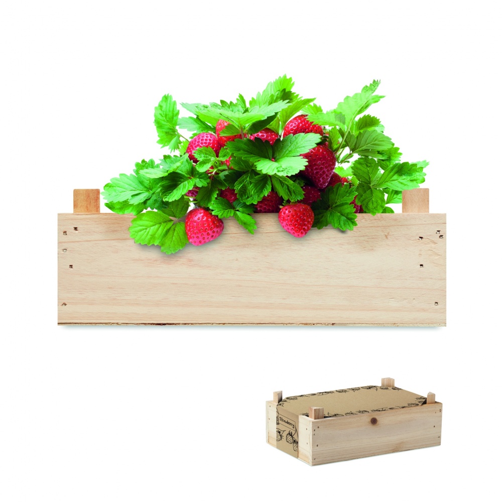 Logo trade promotional gifts image of: Strawberry kit in wooden crate