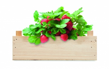 Logo trade corporate gifts image of: Strawberry kit in wooden crate