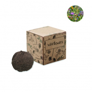 Logotrade promotional merchandise picture of: Seed bomb growing kit