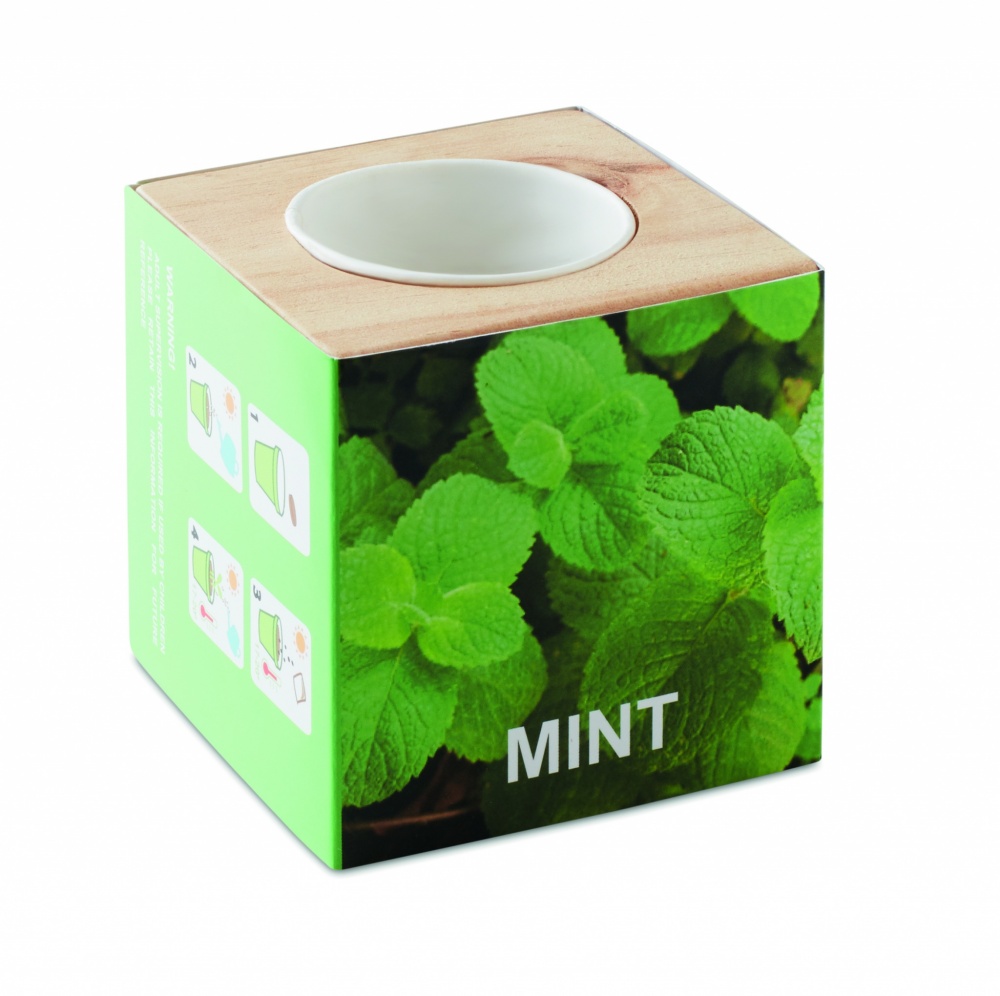 Logotrade business gift image of: Herb pot wood "MINT"