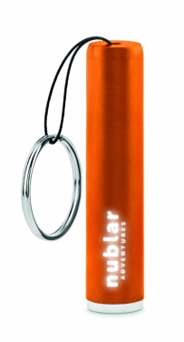 Logo trade promotional merchandise photo of: Plastic light up logo torch