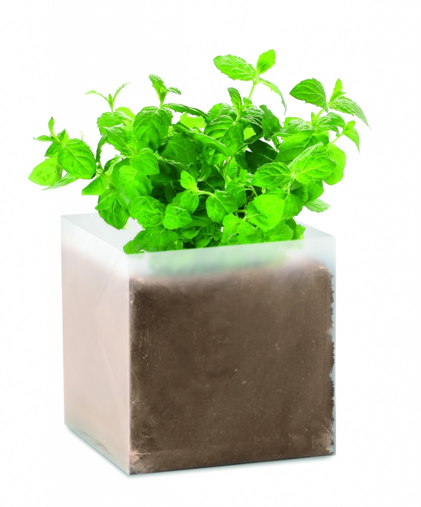 Logotrade promotional giveaway image of: Compost with seeds "MINT"