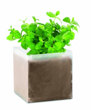 Logo trade corporate gifts picture of: Compost with seeds "MINT"