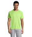 SPORTY MEN T-Shirt, Apple Green