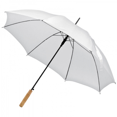 Logotrade promotional merchandise picture of: Automatic walking-stick umbrella LE MANS