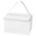 Cooler bag 6 x 0,33 l ASPEN, white