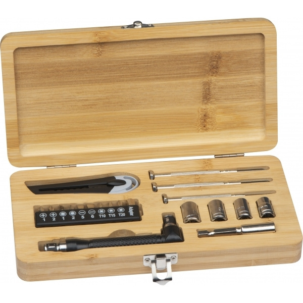 Logo trade promotional gifts picture of: 22-piece tool set BERINGEN