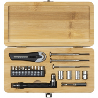 Logo trade promotional merchandise picture of: 22-piece tool set BERINGEN